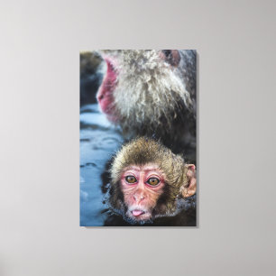 Toile Japonais Macaque Baby