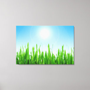 Toile Jardin à l'herbe verte avec conception de ciel ble