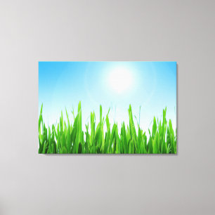 Toile Jardin à l'herbe verte avec conception de ciel ble