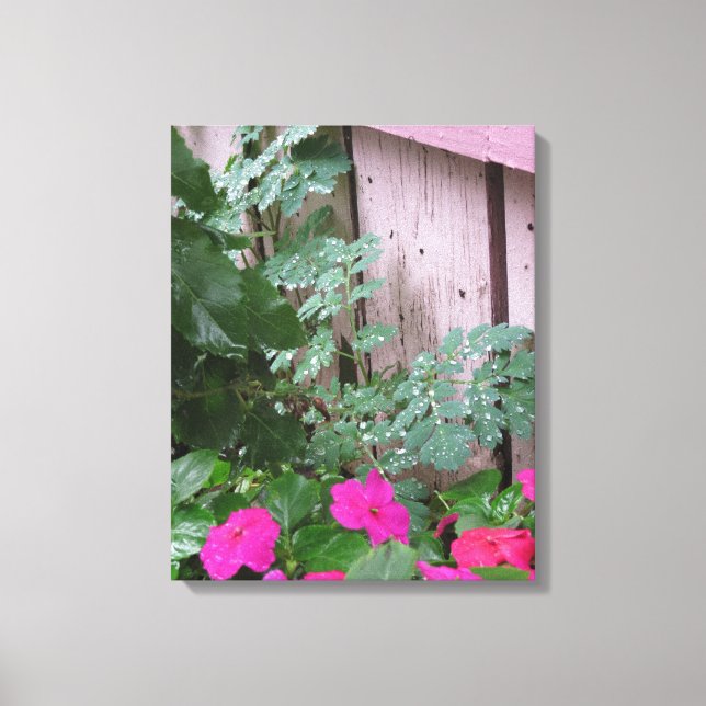 Toile Jardin après la pluie - Vignoble de Martha (Recto)