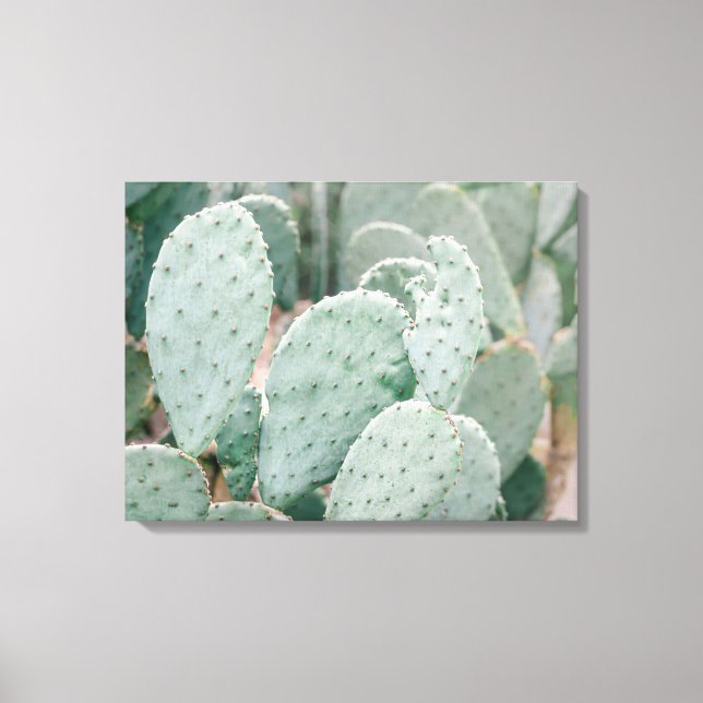 Toile Jardin botanique Cactus (Recto)