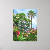 Jardin de la Plumeria