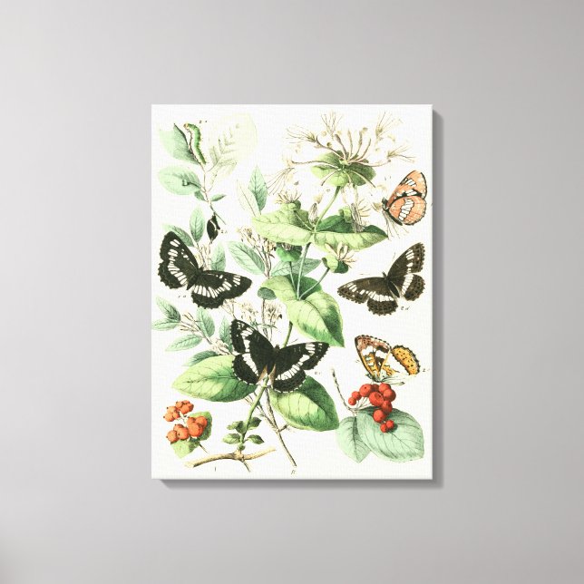 Toile Jardin des papillons et des fleurs (Recto)