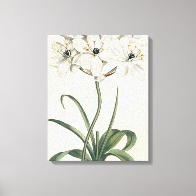 Toile Jardin d'ivoire (Recto)