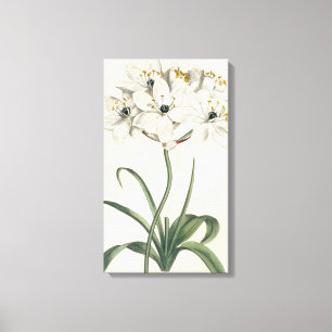 Toile Jardin en ivoire