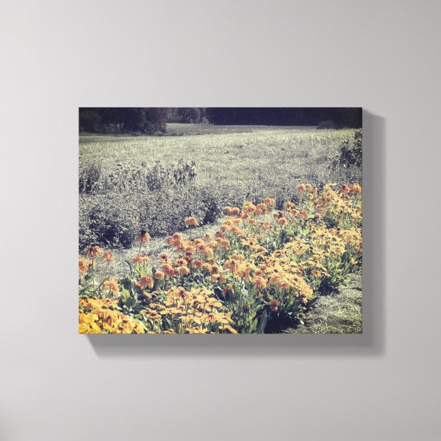 Toile Jardin Fleur En Noir Et Blanc (Recto)
