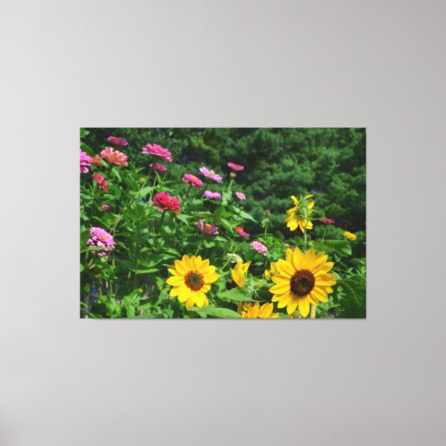 Toile Jardin Vue jardin fleuri, marguerites, tournesols (Recto)