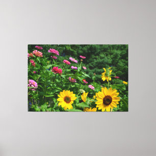 Toile Jardin Vue jardin fleuri, marguerites, tournesols