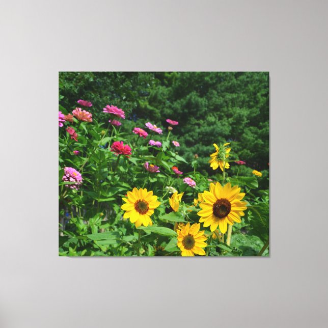 Toile Jardin Vue jardin fleuri, marguerites, tournesols (Recto)