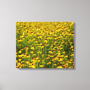 Toile jaune de photo de fleurs sauvages de champ