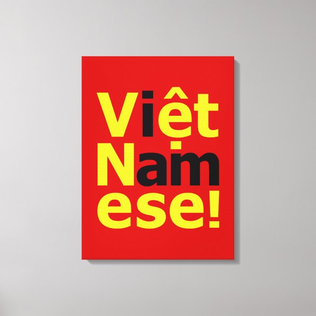 Toile je suis Viêt Namese ! (Recto)