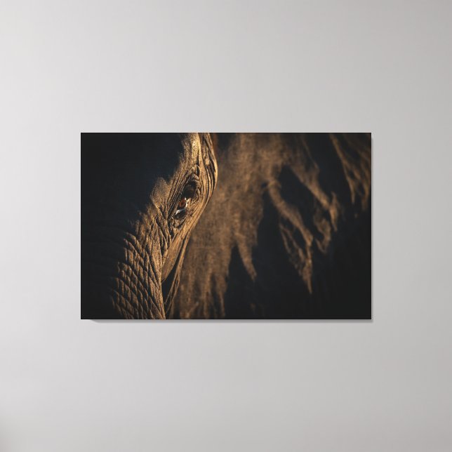 Toile 'Je vois ton âme' Oeil éléphant (Recto)