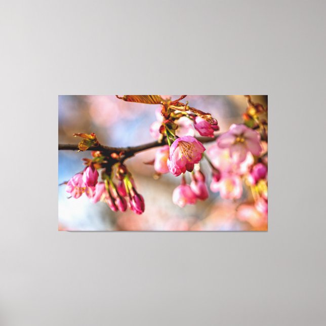 Toile Jeu De Lumière Et D'Ombre Sur Les Pétales Fleurs S (Recto)