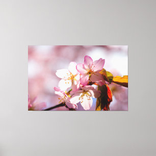 Toile Jeu De Lumière Et D'Ombre Sur Les Pétales Sakura