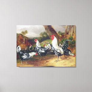 Toile Jeunes coqs dans un paysage