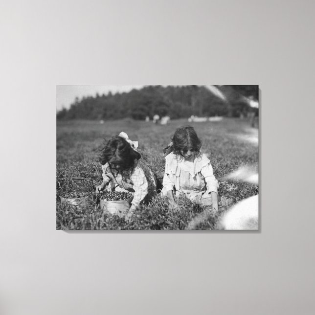 Toile Jeunes filles cueillant des canneberges Photograph (Recto)