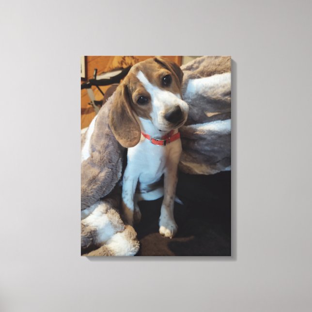 Toile Joli Beagle Chiot avec couverture en fourrure impr (Recto)