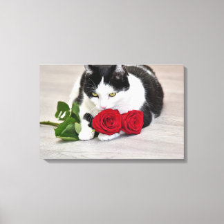 Toile Joli chat avec la rose rouge