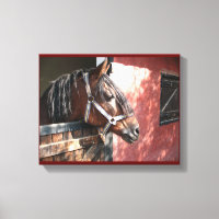 Joli Cheval de Baie dans un soleil stable