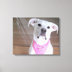 Toile Joli chien blanc heureux aux yeux émouvants en ros