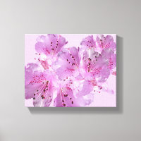 Joli rose fleurit fleuri fleuri beau moderne