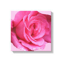 Joli rose rose moderne mimémaliste floral art
