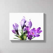 Jolie crocus floral moderne numérique violet 
