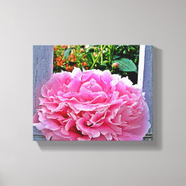 Toile Jolie fleur de pivoine rose rustique