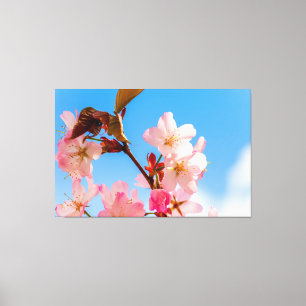 Toile Jolies fleurs de Sakura qui s'épanouissent sous le
