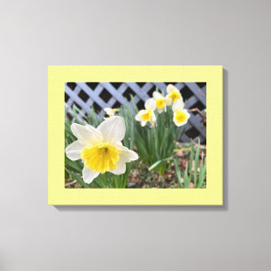 Toile Jonquilles Jaunes