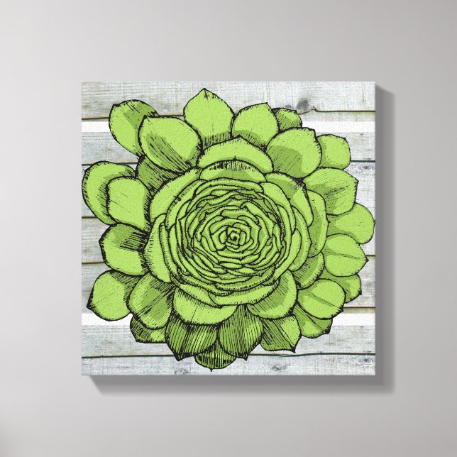 Toile Jonus le Jovibarba heuffelii (Recto)