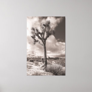 Toile Joshua Tree