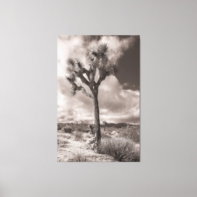 Toile Joshua Tree (Recto)