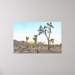Toile Joshua Trees au lever du soleil