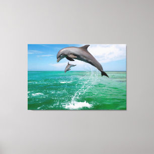 Toile Jumelage Dolphins personnalisées Canvas art mur