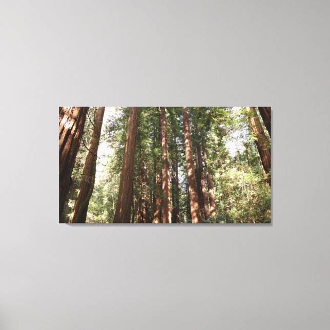 Toile Jusqu'à Redwoods II au monument national de Muir W (Recto)