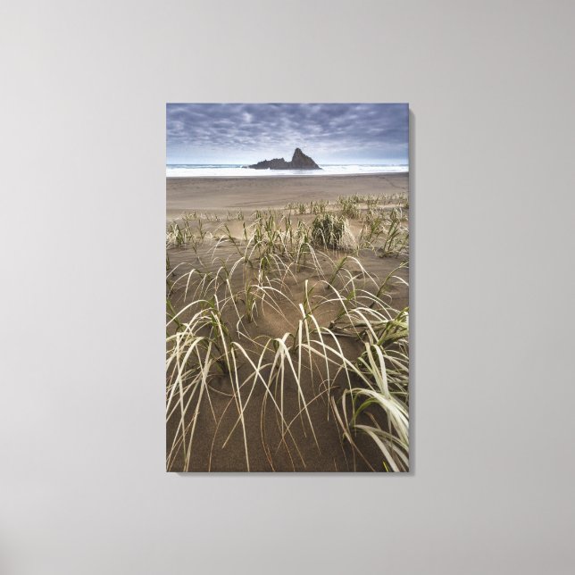Toile Karekare Beach | Panatahi Island, West Coast (Recto)