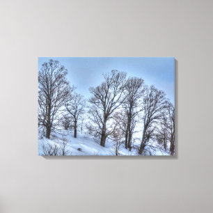 Toile Kawartha Winter Forest Trees Nature Pittoresque Im