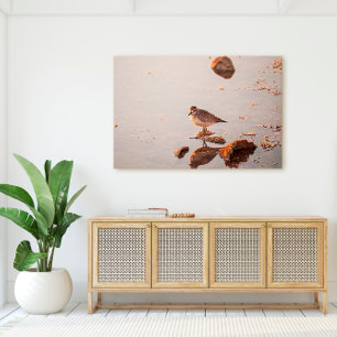 Toile Key West Florida Bird au coucher du soleil