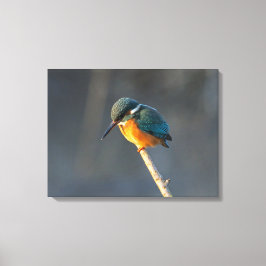 Toile Kingfisher