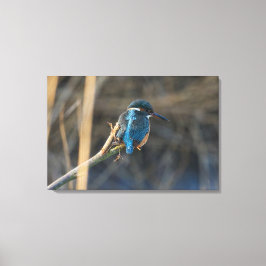 Toile Kingfisher