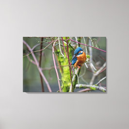 Toile Kingfisher