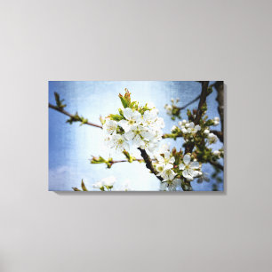 Toile Kirschblüte