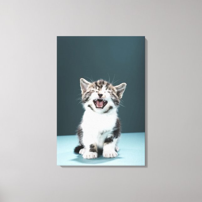 Toile Kitten mewing (Recto)
