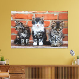 Toile Kittens Canvas Imprimer Image 4