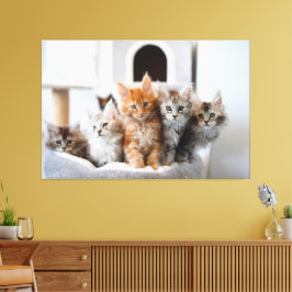 Toile Kittens Imprimer Image 9