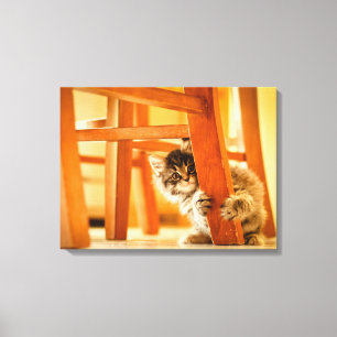 Toile Kitty Sous Présidence