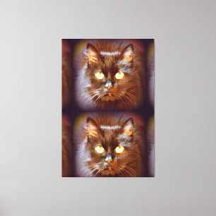 Toile kittycat noir jumeau