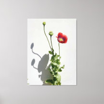 La beauté est aussi la Bête.