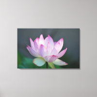 La fleur de Lotus et sa signification